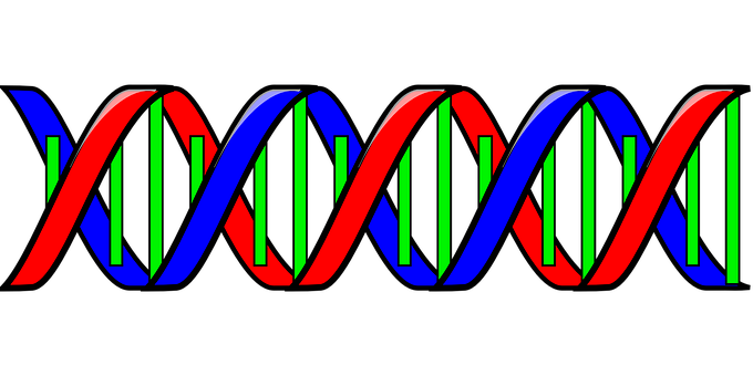 Slovo tvůrcem DNA - ilustrační obrázek