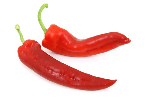 Chilli paprička - ilustrační obrázek